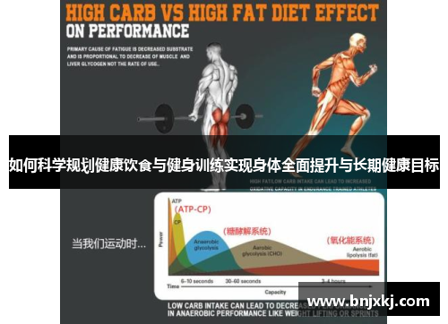 如何科学规划健康饮食与健身训练实现身体全面提升与长期健康目标