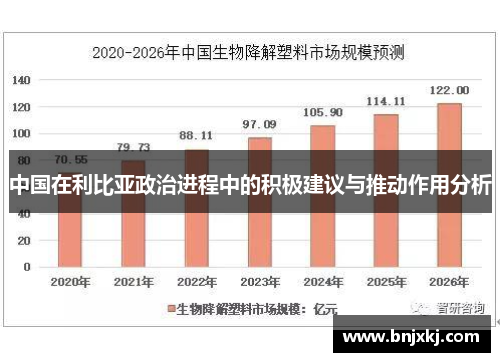/uploads/images/20250802/zhong-guo-zai-li-bi-ya-zheng-zhi-jin-cheng-zhong-de-ji-ji-jian-yi-yu-tui-dong-zuo-yong-fen-xi.webp