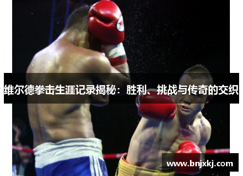 维尔德拳击生涯记录揭秘：胜利、挑战与传奇的交织